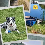 Koemhuus * Niebüll