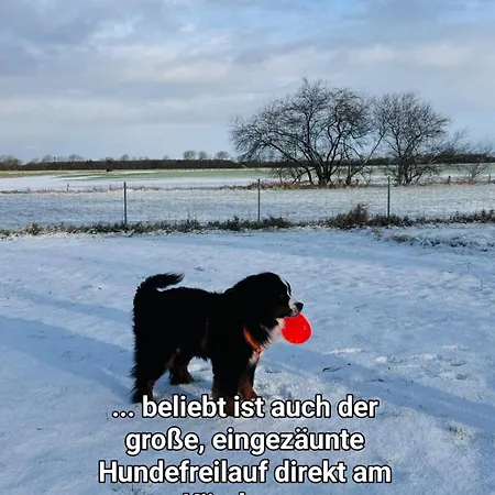 Koemhuus Prázdninový dům *