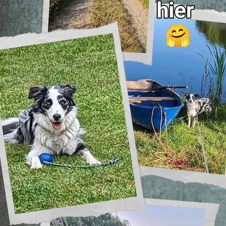 Koemhuus * Niebull