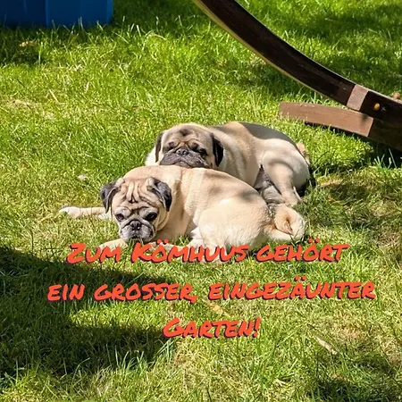 Prázdninový dům Koemhuus
