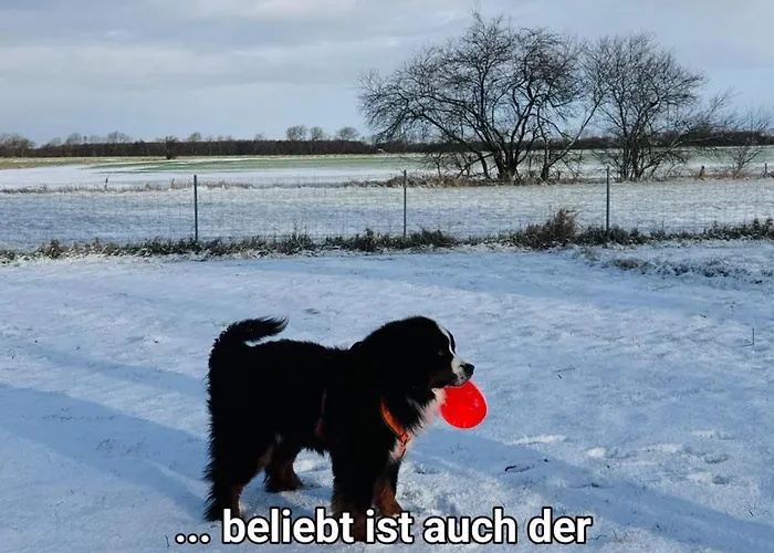 Koemhuus Prázdninový dům *