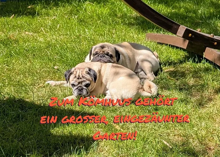 Prázdninový dům Koemhuus